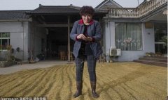 互联网20年职业变迁——赢在互联网时代